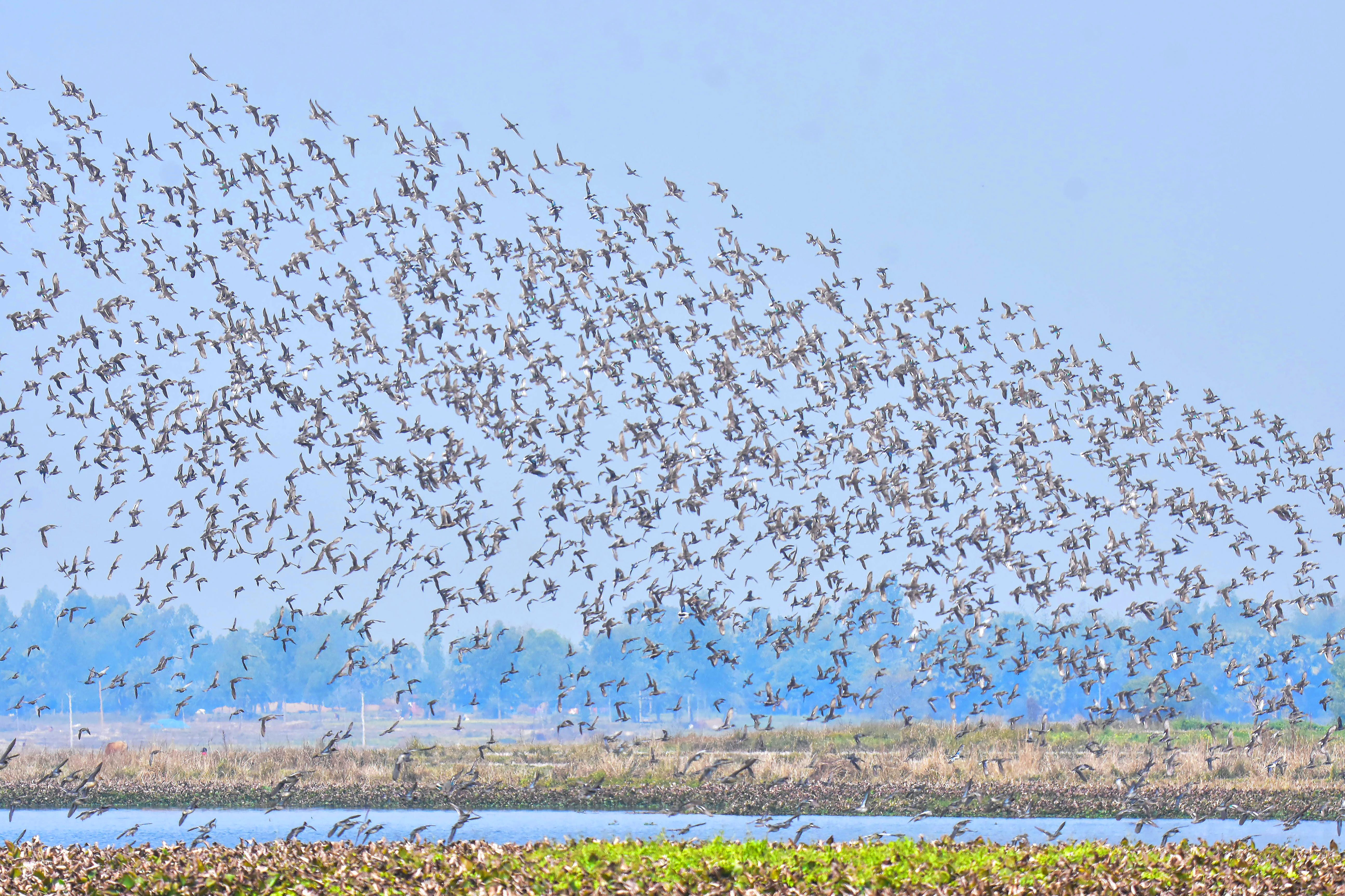 Rector et ses pouvoirs : maîtrisez l'évolution de votre code Symfony