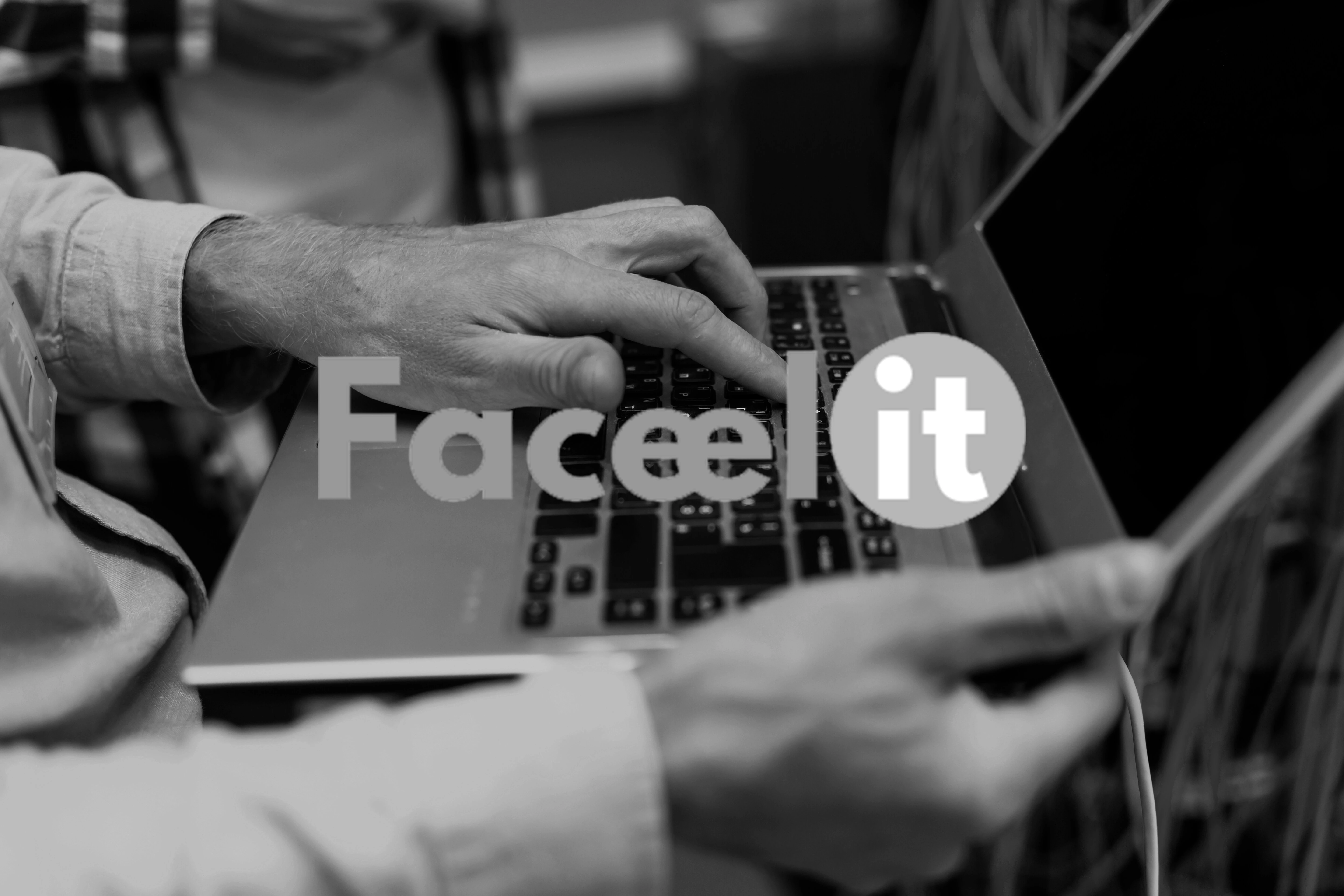 Faceel IT